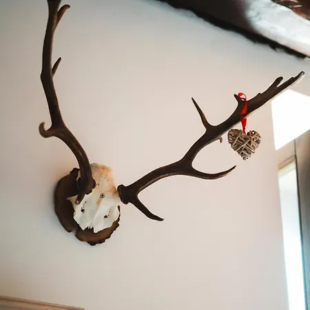 La Luna Bed and Breakfast